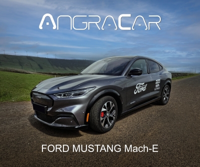FORD MUSTANG Mach-E